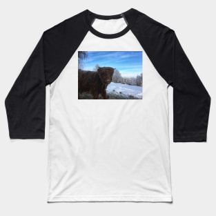 Scottish Highland Cattle Calf 1898 Baseball T-Shirt